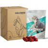 Geloren Horse višňa, kĺbová výživa 1350g