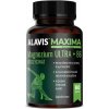 Alavis MAXIMA Magnezium ULTRA + B6 60 kapslí