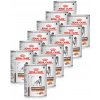 Royal Canin VHN Gastrointestinal 12 x 420 g