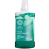 Prírodná ústna voda 7 sibírskych bylín NATURA SIBERICA 520 ml