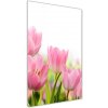 Vertikálny foto obraz fotografie na skle Ružové tulipány 50x100 cm