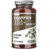Carnomed Serrapeptase Extra 250.000SPU 120 kapsúl
