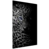 Vertikálny foto obraz akryl zvislý do obývačky Leopard 50x100 cm