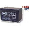 Fiamm FG21202 12V 12Ah