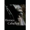 Horses Caballos - autor neuvedený