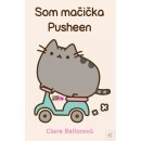 Som mačička Pusheen