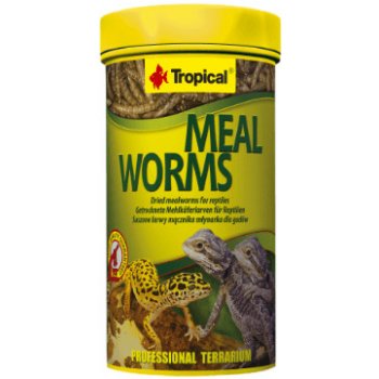 Tropical Meal Worms 100 ml