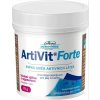 VITAR Veterinae Artivit Forte sypká zmes 1x70 g