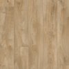 Beaulieu International Group , PVC podlaha - lino Master X Premium 3812, na mieru, šíře 2m,4m, hnedá, pvc, chodba / predsieň 1m2