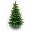 Smrek Beskydský 100% 3D- 255cm