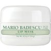 Mario Badescu Lip Mask with Acai and Vanilla nočná maska na pery 14 g