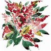 Zuty – Maľovanie Podľa Čísel – Zimná Zeleň A Ružové Kvety (Alexandria Gilbert), 40 × 50 cm, Plátno + Rám 8596530121657