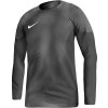 Nike Gardien IV Goalkeeper JSY M DH7967 060 goalkeeper shirt (115595) Black S