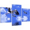 Obraz letiacich bocianov (Obraz 90x60cm)