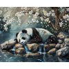 ZUTY Obrazy na stenu - SPIACA PANDA A ROZKVITNUTÝ STROM Rámovanie: vypnuté plátno na rám, Rozmer: 80x100 cm