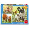 Puzzle pre deti Dino 3x55 dielikov Zvieracie rodinky 3v1