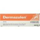 Dermazulen ung.der.1 x 30 g