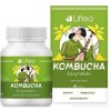 Liftea KOMBUCHA EnzymAktiv 60 kapsúl