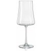 Crystalex poháre na víno XTRA 460 ml 6 ks