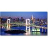 Foto obraz sklo tvrzené Most v Tokio 100x50 cm