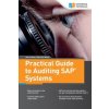 Practical Guide to Auditing SAP Systems