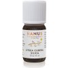 Litsea cubeba silica Hanus – esenciálny olej pre aromaterapiu