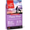 Orijen Puppy Large Breed 6kg