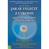 Jak se vyléčit z úzkosti, když vás nikdo jiný vyléčit nemůže - Amy B. Scher