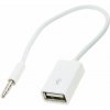 APT ADAPTER AUX MINI JACK3.5MM USB