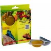 Lucky Reptile Fruit Jelly Mix 12x15 g