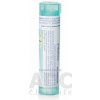 Arnica Montana gra.1 x 4 g 200CH