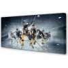 Obraz canvas hokej 100x50 cm