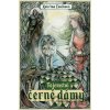 Tajemství černé dámy - Kateřina Loučková, Janina Strnadová (Ilustrátor)