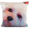 Zamatová obliečka na vankúš pes, mačka 45x45 cm multikolor 1ks