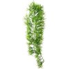 HOBBY Terraristik HOBBY TROPICA popínavá rastlina dekorácia do terária 70 cm