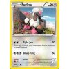 Furfrou 20/30 - XY Trainer Kit