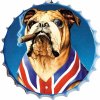 Ceduľa vrchnák UK Dog 35x35cm