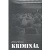Kriminál - David Irving