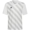 adidas Entrada 22 Graphic Jersey Jr HF0120