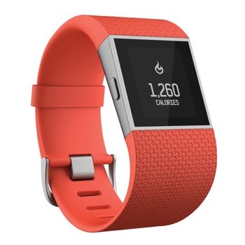 Fitbit Surge Large od 199 € - Heureka.sk