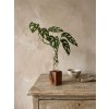 BotaneryLab ELEMENT Dub - drevený stojan na zakoreňovanie rastlín WoodenBotanery Motív: K