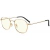 Xiaomi Blue Light Blocking Glasses Gold 6941812792049