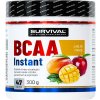 Survival Instant Amino Fair Power 300 g broskyňa