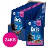 BRIT Cat Adult Premium kapsička Chicken & Turkey 24x100g