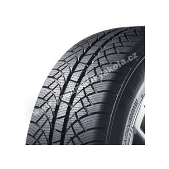 Pneumatiky Sunny Wintermax NW611 175/70 R14 88T