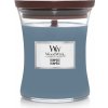 WoodWick Tempest vonná sviečka s dreveným knôtom 275 g