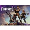Fortnite Standard Founder's Pack Epic Games CD Key