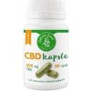 Zelená země CBD kapsule 600 mg CBD 60 ks