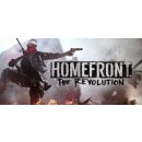 Homefront: The Revolution