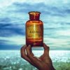 Blackfield - V / Vinyl / 2LP [2 LP]
